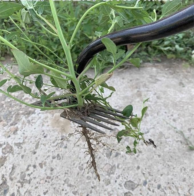 Stainless Weeding Artifact Uprooting Weeding Tool, Stainless Steel Forged Weed Puller 4 Teeth Dual Purpose Weeder, Hand Weeder Tool for Gardening with Long Handle, Silver 4Pcs