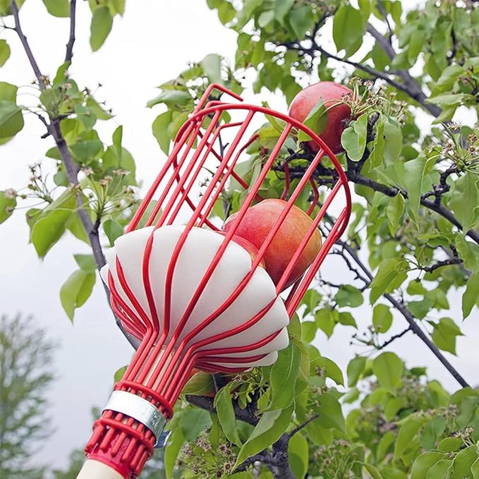 Fruit Picker, 8 FT Fruit Picker Pole with Large Basket, Length Adjustable Gardening Tools, Picking Peaches, Mango, Apple, Orange, Fruit Catcher for Trees with Metal Long Handle, Extra Carrying Bag