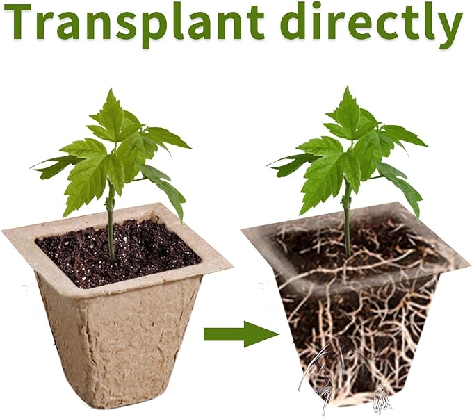 SYITCUN 640 Cells Seed Starter Tray, 40 Pack Biodegradable Seed Starter Kit, Peat Pots for Seedlings with 400 Plant Labels, 2 Seed Planting Tool and 1 Spray Bottle