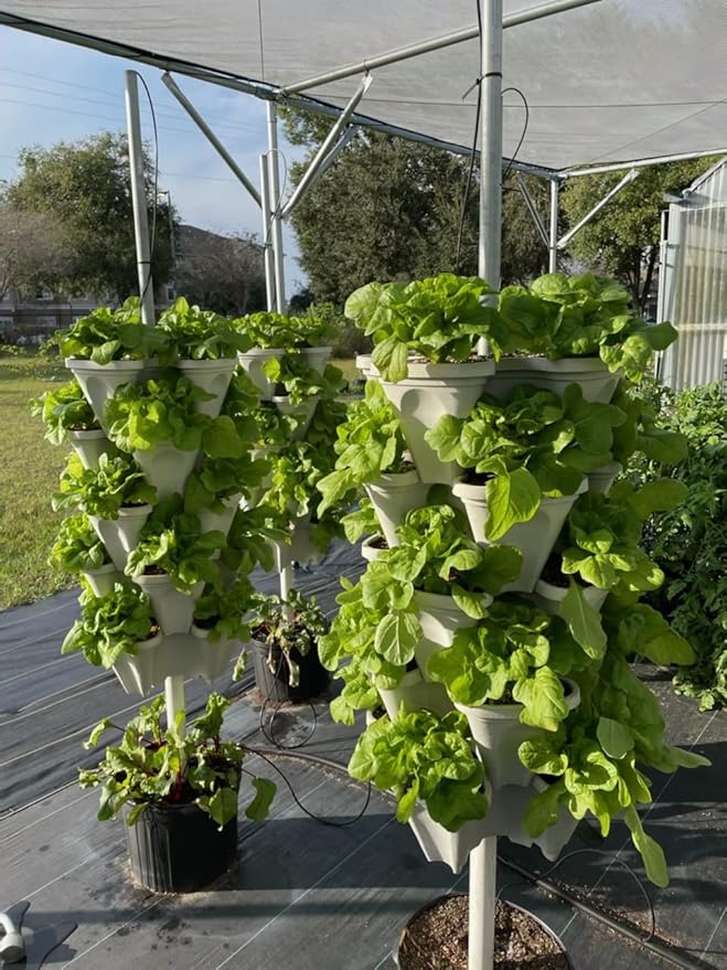 Perlite Horticultural Soil Amendment – Enhances Drainage and Aeration for Plants, Ideal for Root Cuttings, Seedlings, and Hydroponic Systems, OMRI-Listed, 100% Organic (24 QT)