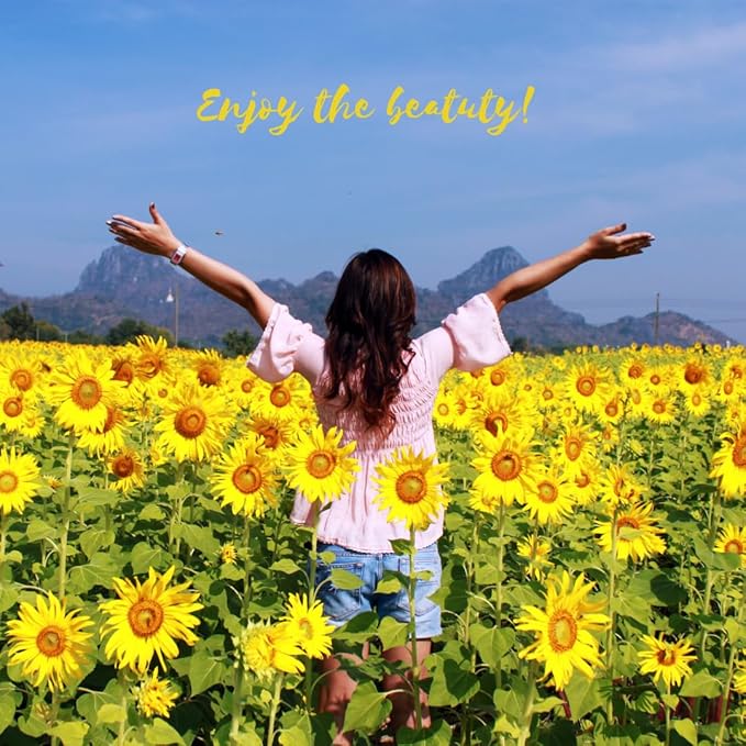 Dwarf Sunflower Seeds for Planting - to Plant and Grow Teddy Bear and Sunspot in Your Flower Garden.