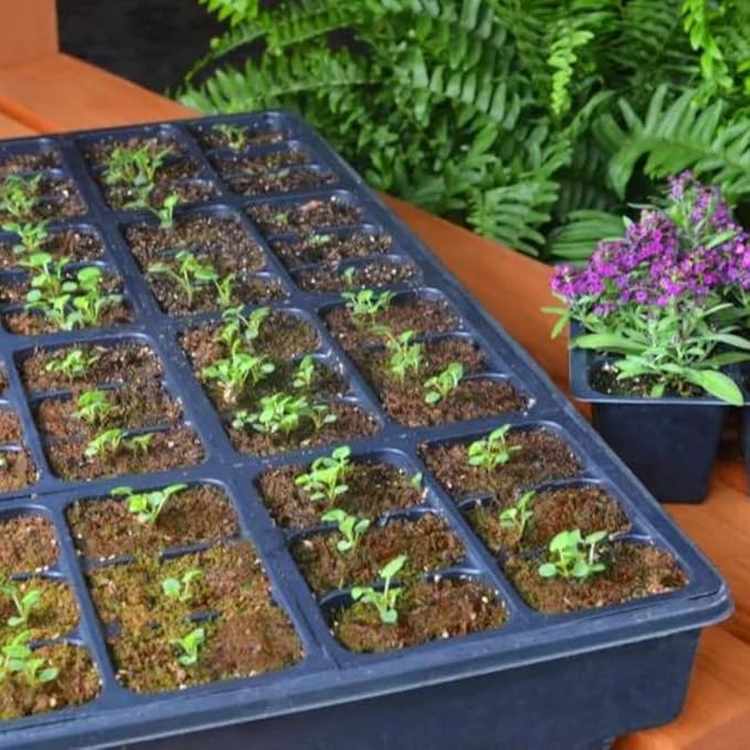 Mosser Lee ML0003 SucSeed® Premium Seed Starter 244 cubic inch (4L)Pack of 1