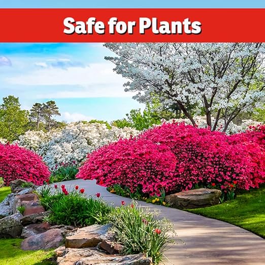 I Must Garden Soil Sulfur Pellets: Organic Soil Acidifier | Naturally Promotes Lush Growth – 5lb Shaker Jar