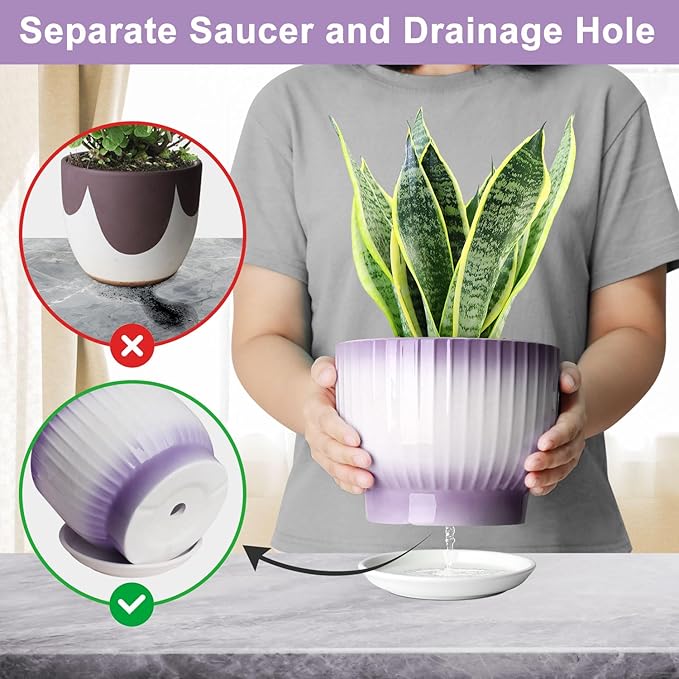 6.7 + 5.5 Inch Plant Pot, Ceramic Planter with Drainage and Saucer, Ceramic Pots for Plants, Indoor Plant pots,Ceramic Flower pots（Purple + White, Plants NOT Included）