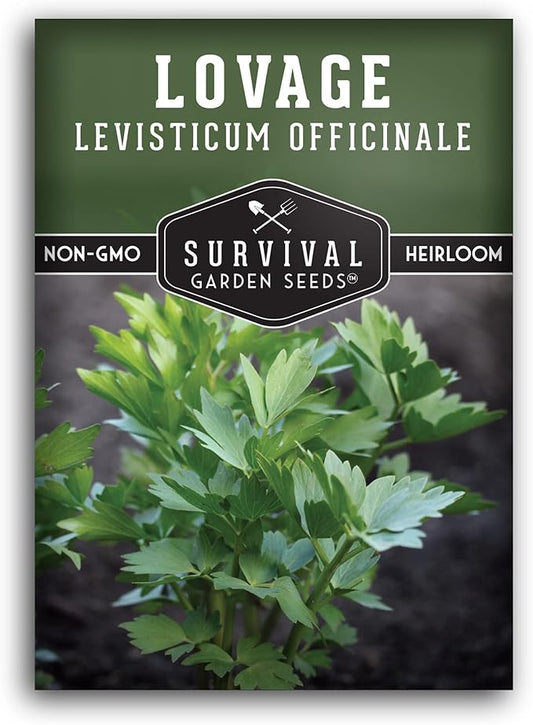 Survival Garden Seeds - Lovage Seed for Planting - 1 Pack with Instructions to Plant and Grow Perennial Levisticum Officinale Culinary Herb in Your Home Vegetable Garden - Non-GMO Heirloom Variety