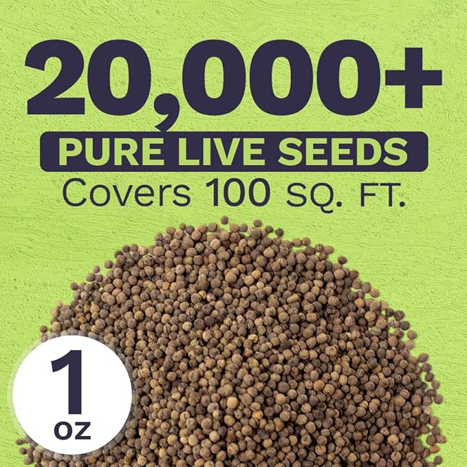 California Orange Poppy Wildflower Seeds - Bulk 1 Ounce Packet - Over 20,000 Native Seeds - California State Flower!