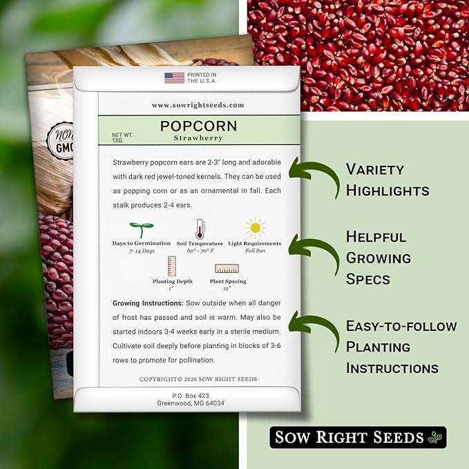 Sow Right Seeds - Strawberry Pop Corn Seed for Planting - Non-GMO Heirloom Packet with Instructions to Plant a Home Vegetable Garden - Grow Your Own Popping Kernels - Short Red Variety (2)