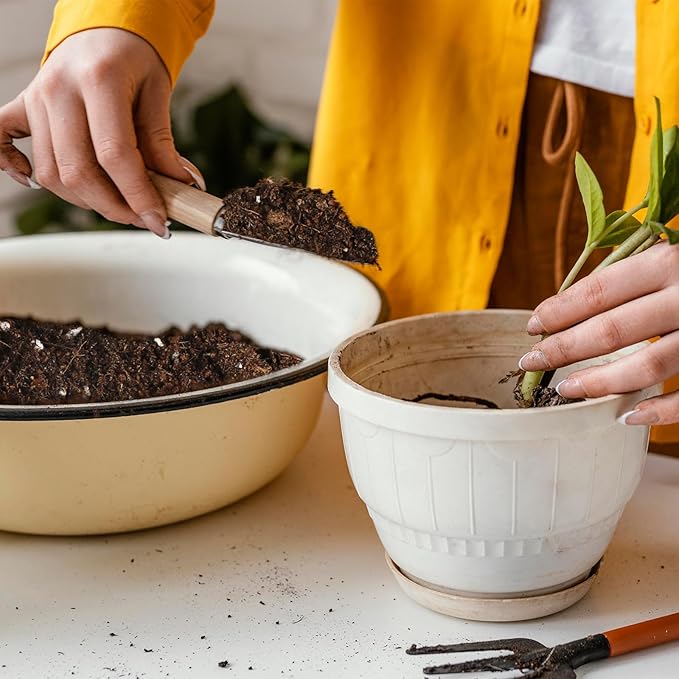 Potting Soil Mix for Indoor Plants 2qt, Organic Houseplant Soil Well Draining Dirt Ready to Use, Fit for House Plant Like Pothos, Philodendron, Monstera, African Violet