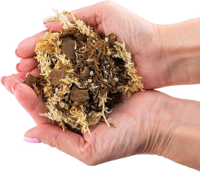 Premium Orchid Mix by GARDENERA | Fern + New Zealand Pine Bark + Sphagnum Moss + Perlite | Best for Growing and Repotting Orchids - 2 Quart Bag