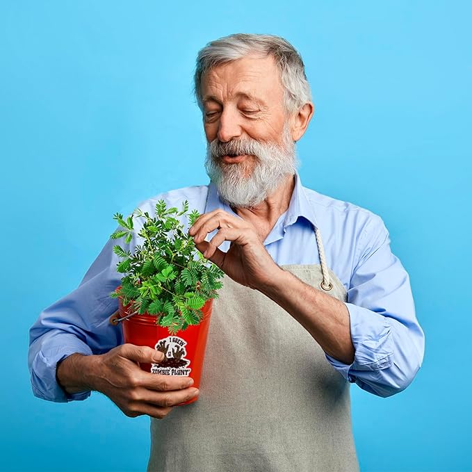 Zombie Plant Seed Packets Bulk Party Pack (10) Plus 10 Free Zombie Plant Stickers Sheets of 10 Stickers Share Your Love of The Zombie Plant.. Grow The Entertaining Plant That Plays Dead When Touched