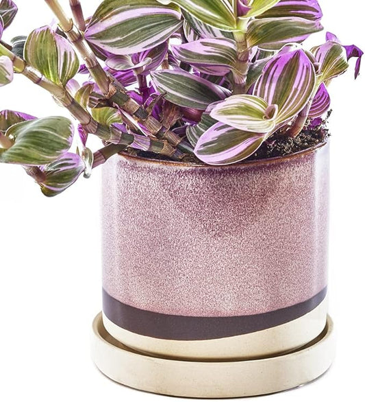 CHIVE ‘Minute’ Ceramic Planter Pot — Cute 5” Colorful Succulent Pots for Indoor & Outdoor House Plants — Beautiful Modern Farmhouse Kitchen Decor — Burgundy