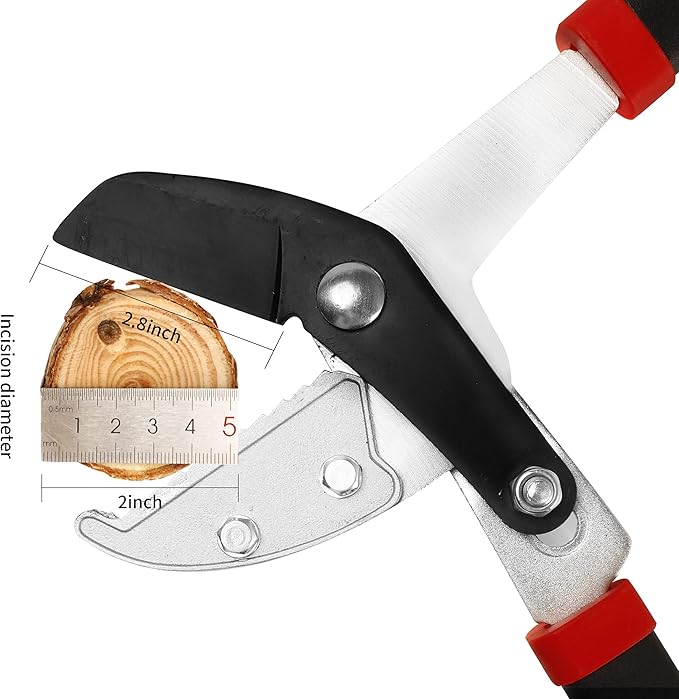 GARTOL Anvil Lopper with Compound Action Branch Cutter, 29.5 Inch Tree Trimmer with 2 Inch Clean Cut Capacity, Cut Through Thick Branches Easy