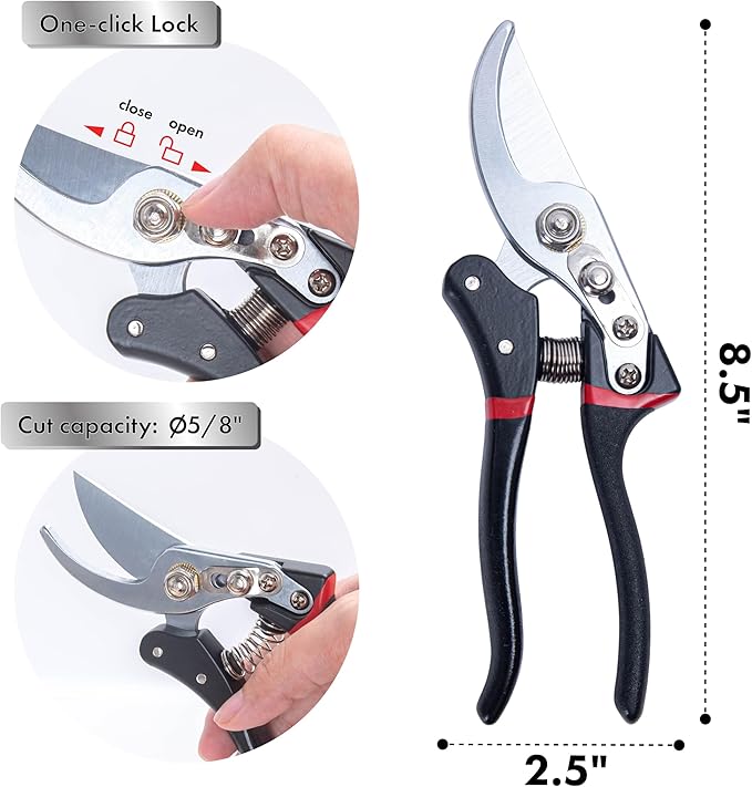 Phoenix Vine 8" Pruning Scissor for Indoor Houseplants, Pruners with Heavy Duty SK5 Blade, Hand Pruners, Garden Clippers, Hedge Shears, Garden Tools, 97-V