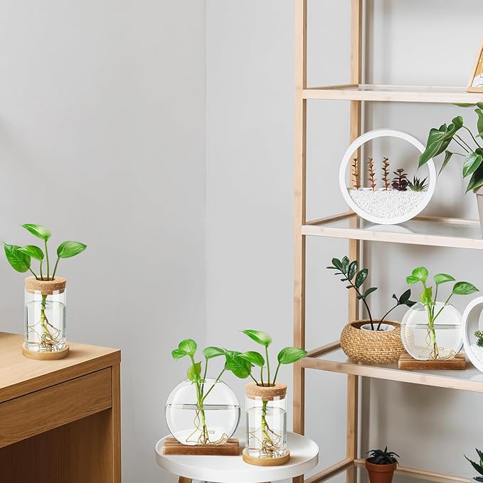 Layhit 4 Pcs Plants Propagation Stations Separated Desktop Plant Terrarium Glass Planter Vase with Wooden Lid and Bamboo Stand for Growing Hydroponic Home Office Tabletop Decoration (Novelty Style)