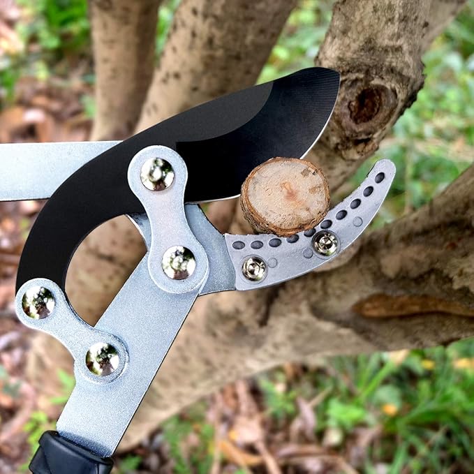 JARDINEER Garden Loppers Pruners Set, Include 30" Anvil Loppers for Tree Trimming Heavy Duty with 2" Cutting Capacity, Bypass Pruning Shear and Spare Loppers Blade