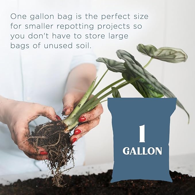 Ropey Root - Potting Mix for Indoor and Outdoor Tropical Plants, Chunky Soil Blend for Tropical Houseplants - 1 Gallon