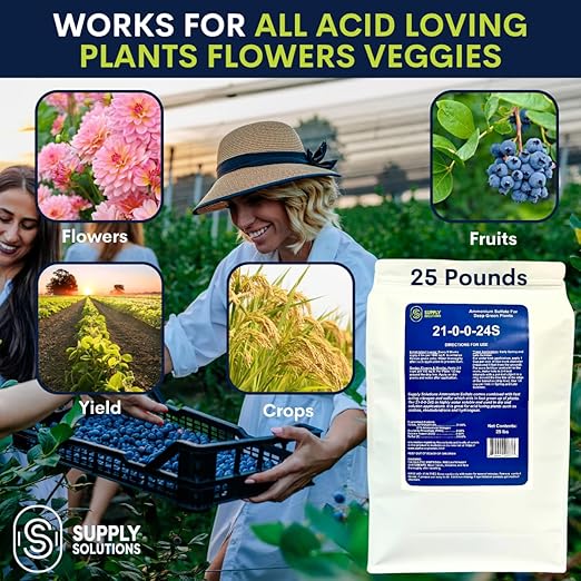 21-0-0-24S Ammonium Sulfate for Deep Green Plants - Soil Acidifier for Blueberry Blooms, Azalea and Magnolia Tree Fertilizer - Sulfur for Plants Nitrogen Fertilizer (25 Pounds)