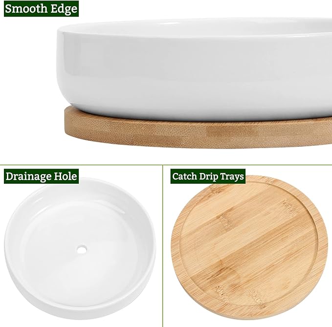 ZOUTOG Succulent Pots, 6 inch White Ceramic Flower Planter Pot with Bamboo Tray, Pack of 2 - Plants Not Included