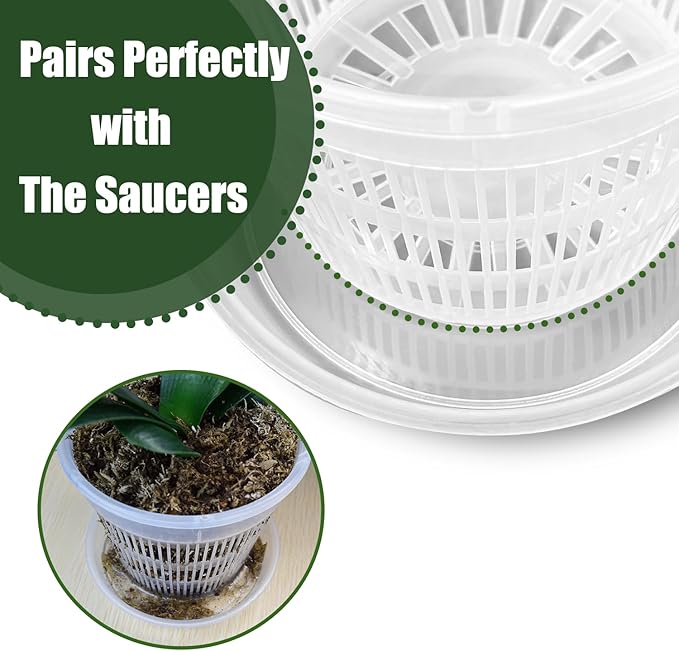 Orchid Pot,12 Pack 5.5Inch Clear Plastic Orchid Pots with Saucers, Orchid Pots with Holes, Orchid Pots for Repotting, Orchid Breathable Slotted Pot(12Pcs 5.5in+ Saucers)