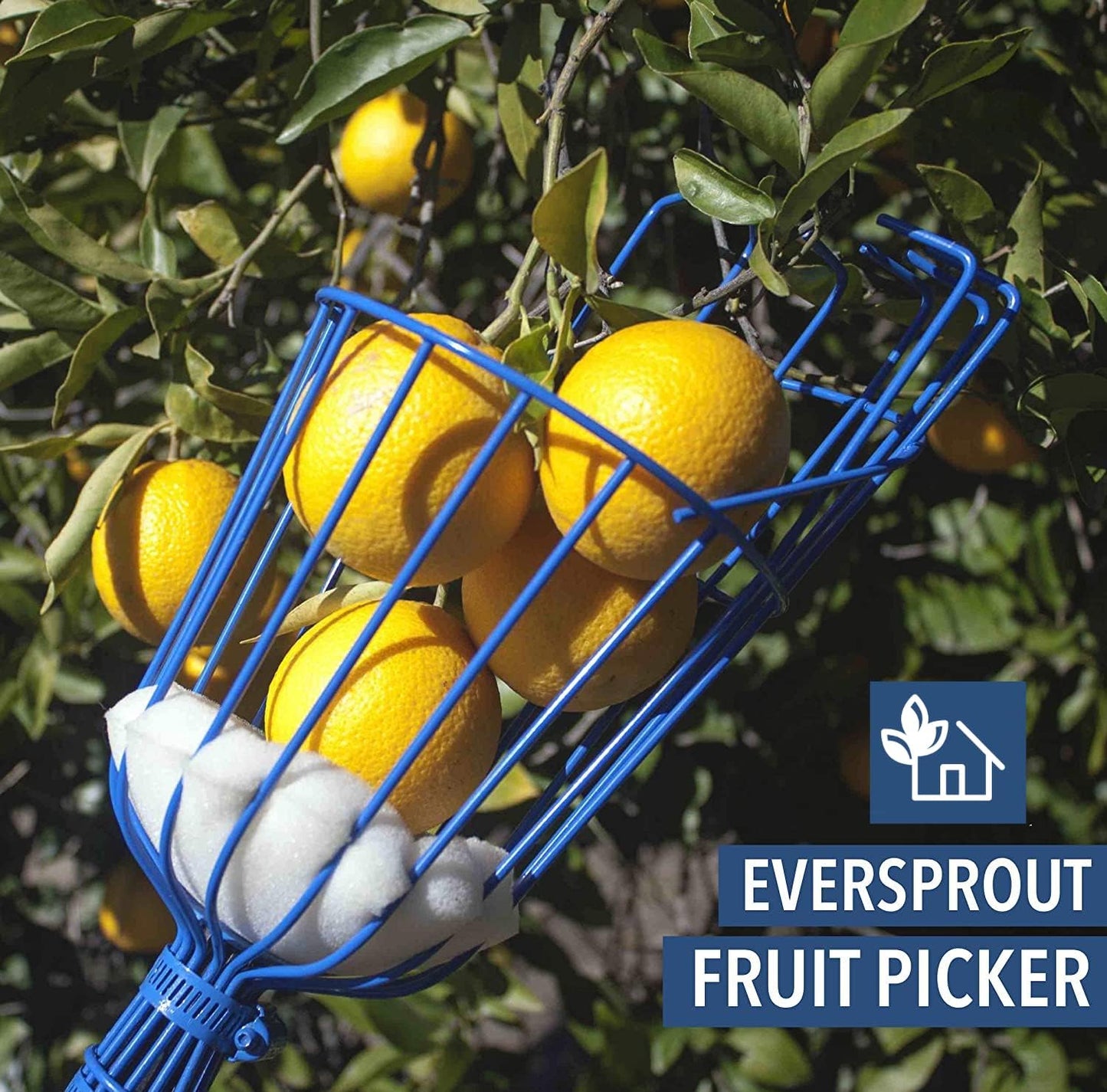 EVERSPROUT Twist-On Fruit Picker Basket, Twists onto Standard US Threaded Pole (3/4-inch ACME), Fruit Picker Head Basket, Fruit Harvesting Tool, Apple, Mango Picker etc. (Head Only, Pole Not Included)