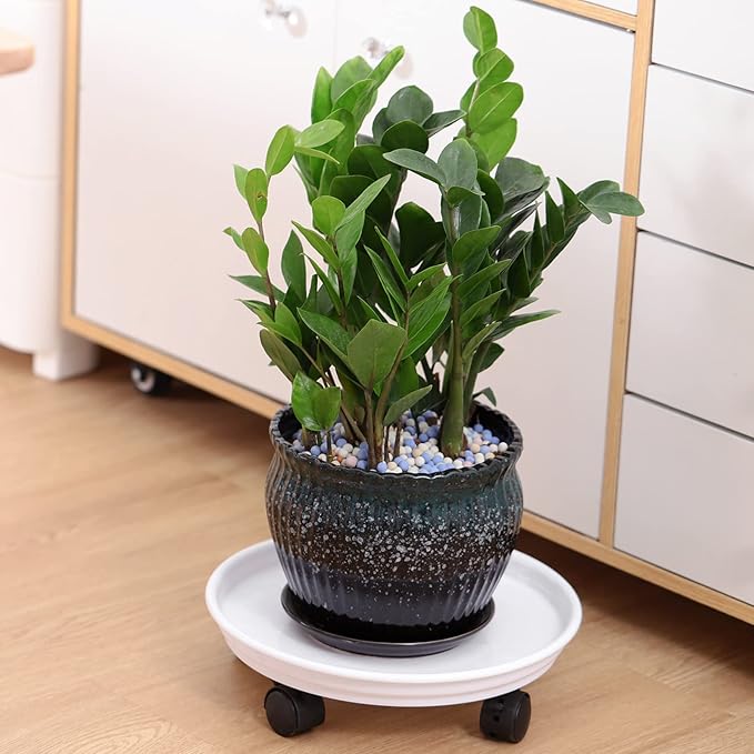 6 Packs Plant Caddy with Wheels 12" Plastic Rolling Plant Stands Heavy-duty Plant Dolly with Casters Indoor and Outdoor Plant Roller Base Large Heavy Plant Pot Saucers with Wheels Plant Movers