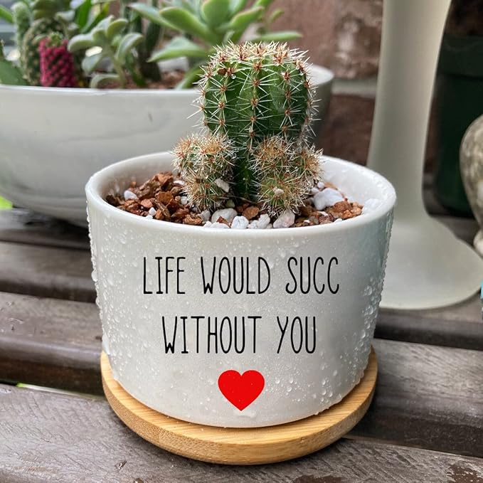Funny Life Would SUCC Without You Planter Pots, White Ceramic Engraved Mini Succulent Cactus Planter Pot, Home Office Windowsill Plant Pots for Plant Lover Birthday
