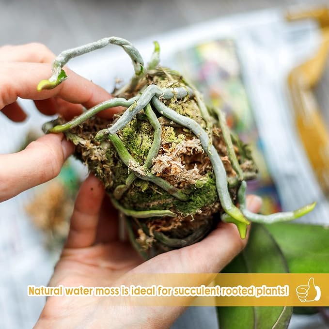 Legigo 3.3LBS Premium Sphagnum Moss for Plants- 60QT Natural Succulent Carnivorous Plant Moss Dried, Long Fiber Orchid Moss for Orchid Repotting Succulent Sarracenia Potted Plants Gardening & Reptiles