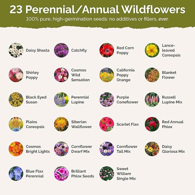 Eden Brothers New Hampshire Wildflower Mixed Seeds for Planting, 1 lb, 480,000+ Seeds with Cosmos, Lupine | Attracts Pollinators, Plant in Spring or Fall, Zones