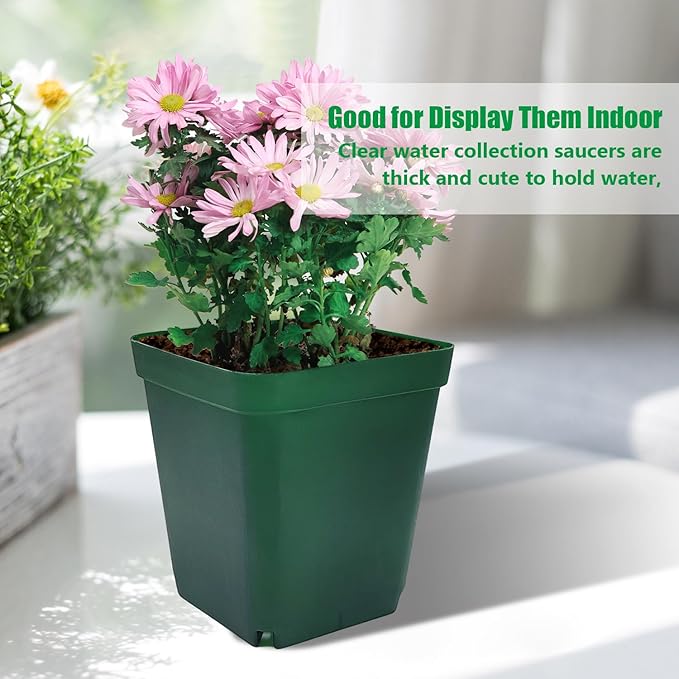 Square Seedling Nursery Pots 3.15 Inches 100 Pcs for Small Succulents or Cacti Flower Plastic Pots Sturdy Reusable (Green, 3.14Inches,100Pcs)