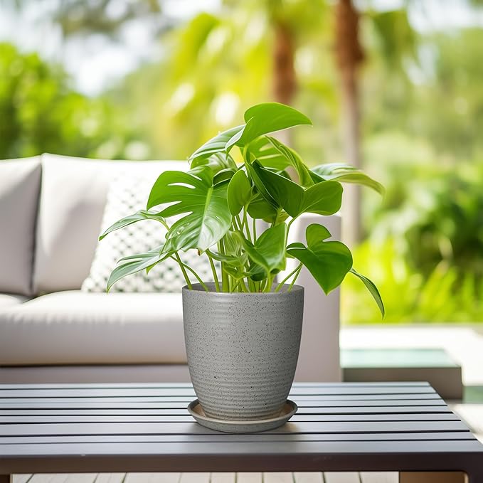 8 Inch Plant Pot Ceramic Planter Pot with Drainage Hole and Saucer Modern Round Flower Pot for Indoor Plants Light Gray