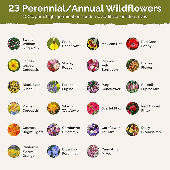 Eden Brothers Minnesota Wildflower Mixed Seeds for Planting, 1 oz, 30,000+ Seeds with Cornflower, Blanket Flower | Attracts Pollinators, Plant in Spring or Fall, Zones