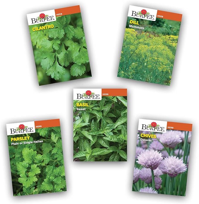 Burpee Culinary Garden Starter Kit Packets, 5 Pots, 5 Coir Pellets & 5 Plant Markers Non-GMO Herb Seeds: Cilantro, Dill, Parsley, Sweet Basil & Chives
