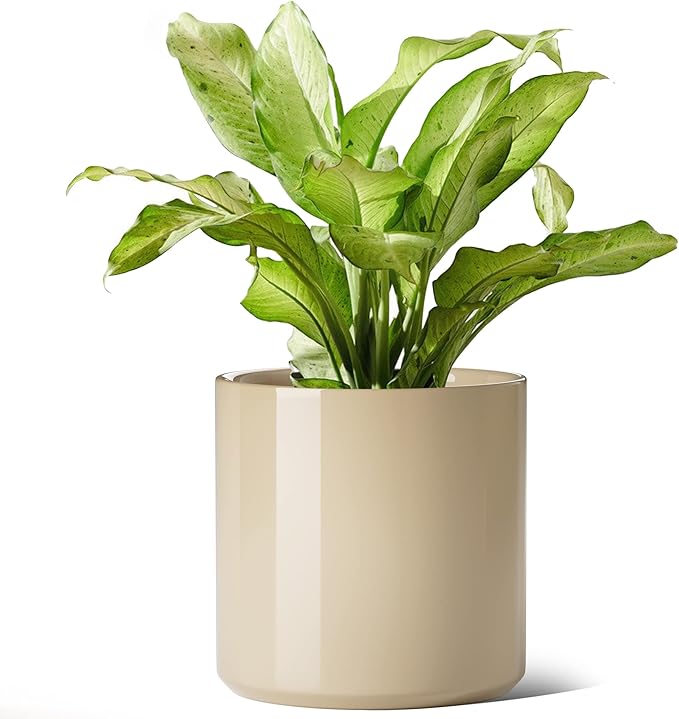 LE TAUCI 12 Inch Pots for Plants, Ceramic Large Plant Pot for Indoor Plants, Mid-Century Modern Flower Planter Pots with Drainage Hole and Removable Plug, Round Planter Pot, Reactive Glaze Cloud Cream