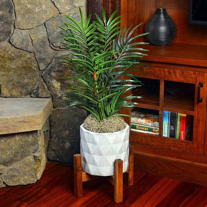 Mosser Lee ML0560 Spanish Moss, 250 Cubic Inches (3)