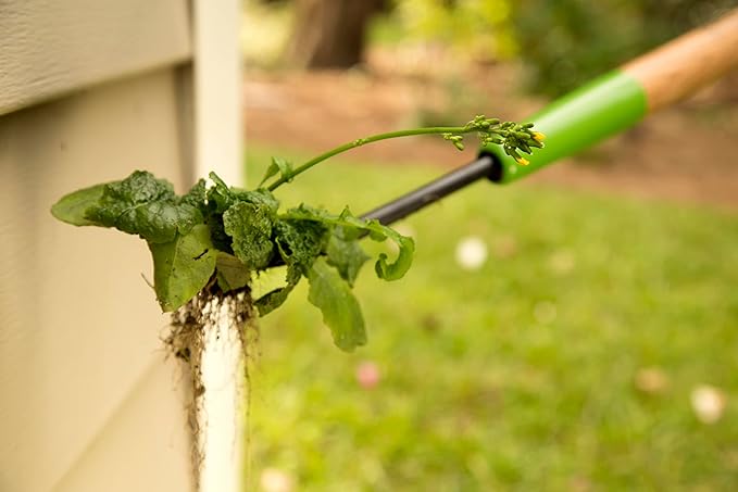 Ames COMPANIES THE 2942100 Forg Dandelion Weeder