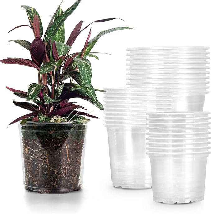 RAOOKIF 30 Pack 5/6/7 Inch Reinforced Clear Nursery Pots with Drainage Holes, Clear Nursery pots Variety Pack, Transparent Plastic Plant Pots for Seedlings, Clear Seed Starters