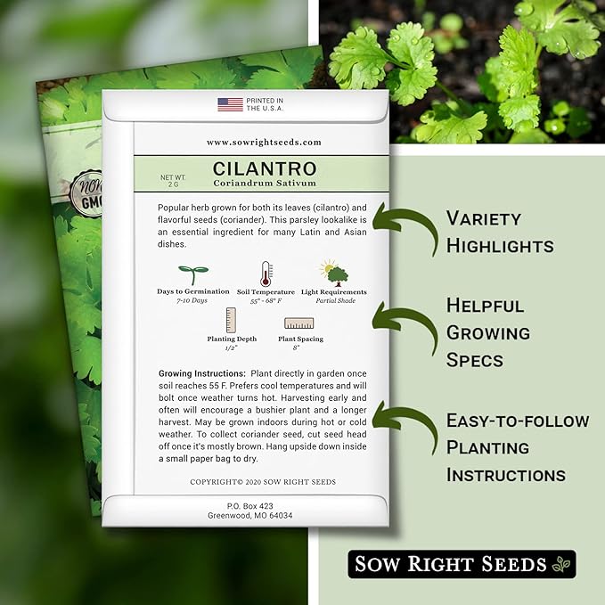 Sow Right Seeds - Cilantro Seeds for Planting - Non-GMO Heirloom Packet with Instructions to Grow a Kitchen Herb Garden - Great Addition to Your Cooking - Make Coriander Seasoning - Zesty Herb (1)