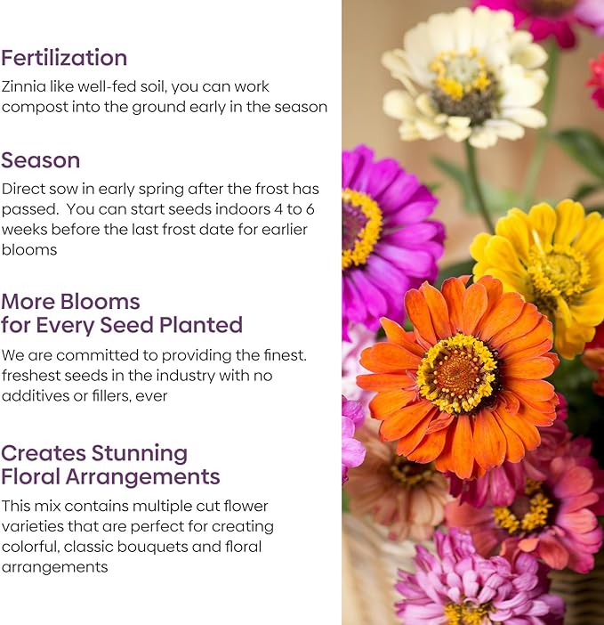 Zinnia Seeds Mix, 1 Oz, Over 3,000 Flowers Seeds, 5 Varieties Garden Seeds (Pink, Yellow, Orange, White, Purple), Mixed Colors and Large Blooms, Seeds for Planting, Open Pollinated - Bulk