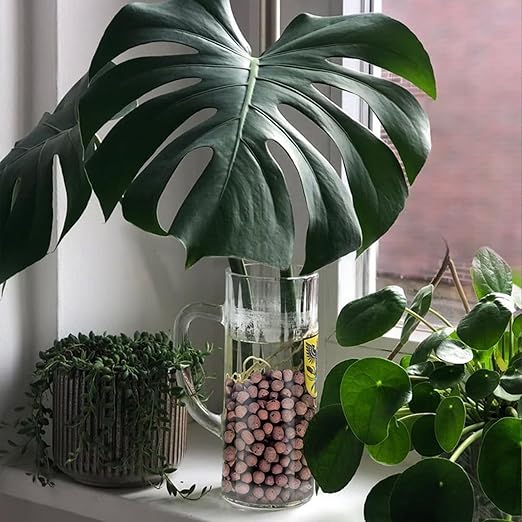 2.2LB Leca Clay Pebbles for Plants, Expanded Leca Balls for Indoor Plants, Orchid Potting Mix, Soil Amendment, Drainage, Easy Reusability, 4-16mm