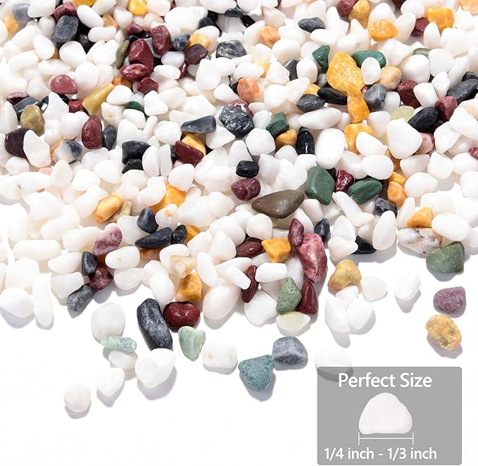 2LB Succulent and Cactus Gravel Pebbles, 1/4 Inch - 1/3 Inch Natural Decorative Polished Stones, River Rocks for Plants, Aquariums, Vases, Terrarium and Outdoor Gardening, 5 Mixed Colors