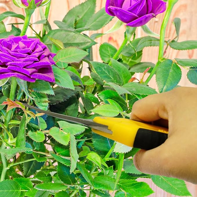 Centurion 201 Hand Pruner Shears, 2-Piece Set, 6½" Straight & Upward Curved Stainless Steel Blades, Hardened & Precision Ground, Ideal for Indoor and Outdoor Gardening, Trimming, and Precision Cutting