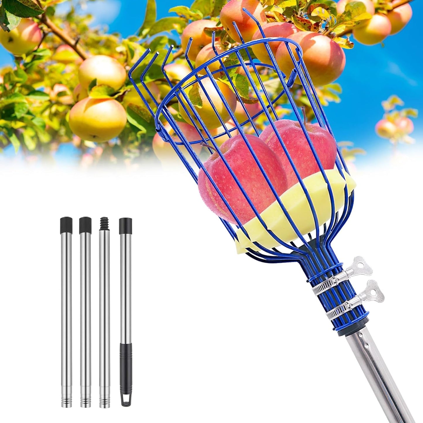 Fruit Picker Tool with Basket & Foam Pad, 35-72 Inch Adjustable Stainless Steel Picking Pole - for Harvesting Lemon Avocado Apple Mango Pear Orange & Tall Tree Fruits