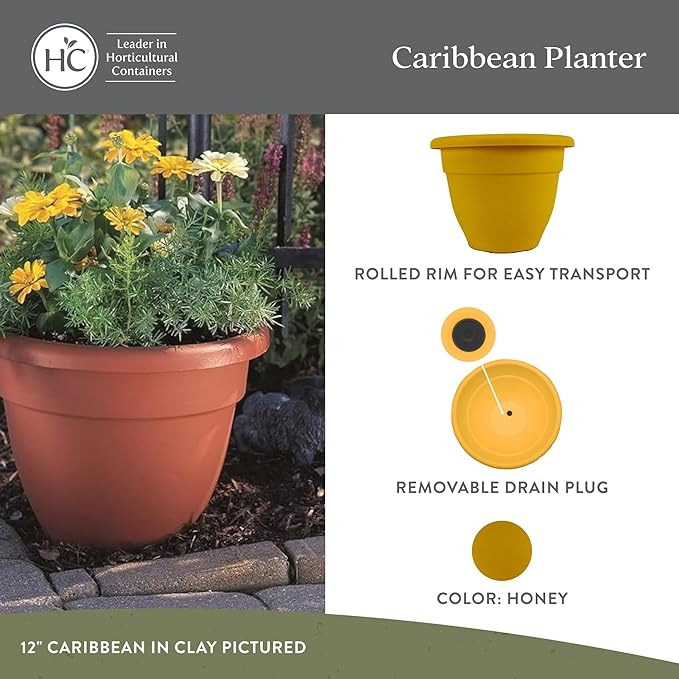 The HC Companies 8 Inch Caribbean Planter - Lightweight Indoor Outdoor Plastic Plant Pot for Herbs and Flowers, Honey
