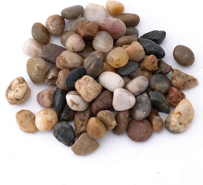 Succulent Planter Kit - Terrarium Kit with Succulent Soil, Gravel, Pebble, Moss,