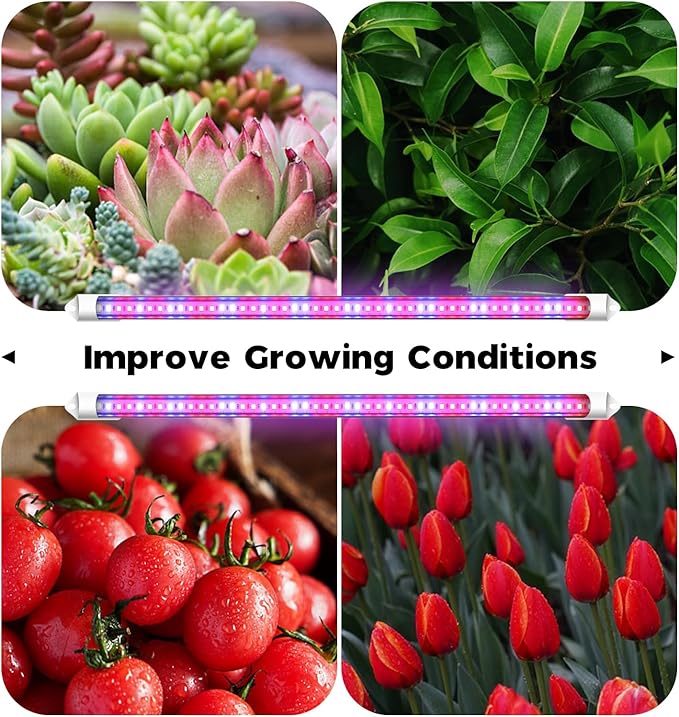 Bamworld Plant Stand with Grow Lights for Indoor Plants Wood Plant Shelf 4 Tier Large Flower Stand for Mutiple Plant Holder Rack for Patio Living Room BalconyDecor Purple Light