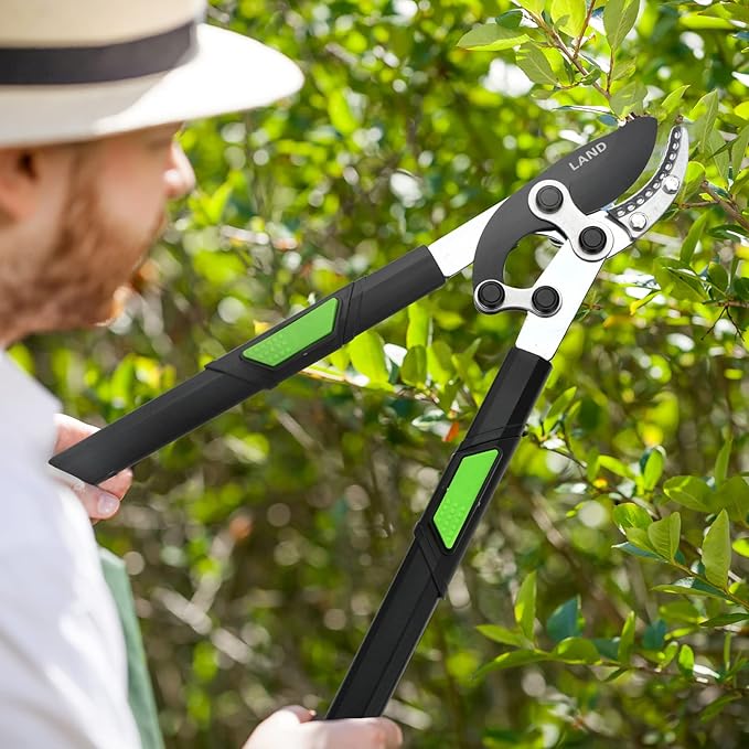 LAND Extendable Anvil Loppers Tree Trimmer with Compound Action, 29-34 Inch Telescopic, Long Handled Heavy Duty Branch Cutter, Chops Thick Branches with Ease.