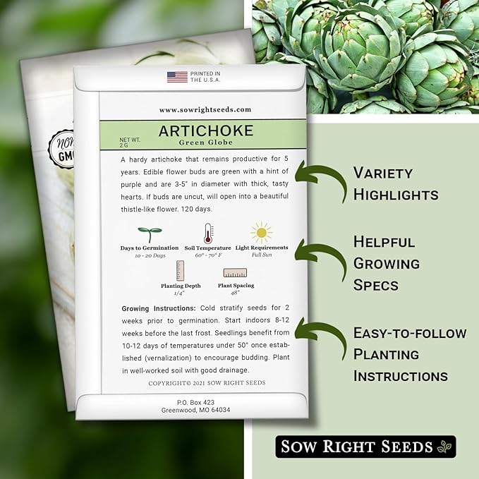 Sow Right Seeds - Artichoke Green Globe Seeds for Planting - Non-GMO Heirloom Packet with Instructions to Plant and Grow an Outdoor Home Vegetable Garden - Perennial - Tall with Edible Flower Buds (4)