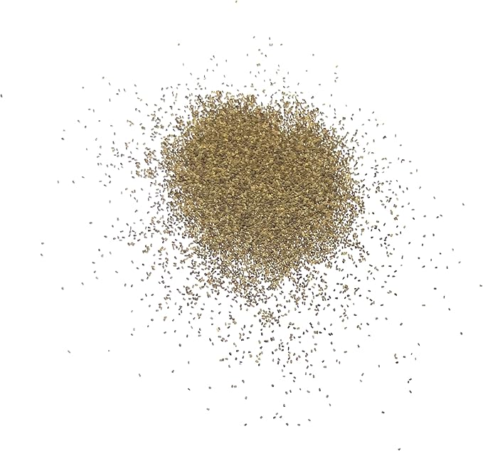 Seed Needs, Mixed Gloxiniaeflora Foxglove Seeds for Planting - Heirloom & Open Pollinated Biennial Flowers - Perfect for Butterfly Gardens & Insectaries (1 Pack)