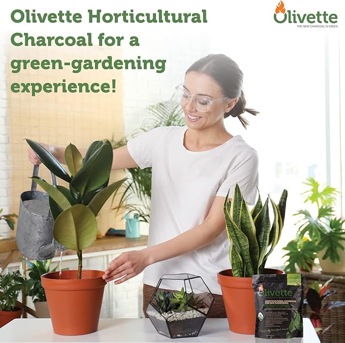 Olivette Horticultural Activated Charcoal for Plants Terrarium Horticulture Moisture Absorbers | Terrarium Supplies | USDA Organic Certified | Made from Recycled Olive Tree Byproducts | 3 Bags