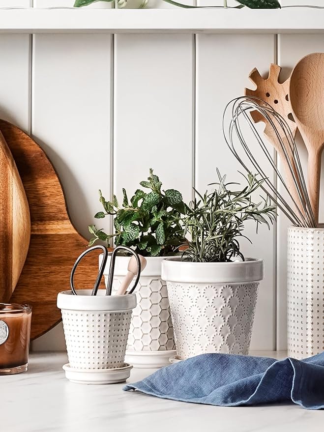 LE TAUCI Succulent Pots, Cute Indoor Plant Pot with Saucer, 4 Inch Mini Ceramic Flower Pots with Drainage, for Plant Lover or Mothers Day,Housewarming, Decorative Lovely Planter for Cactus,Set of 4